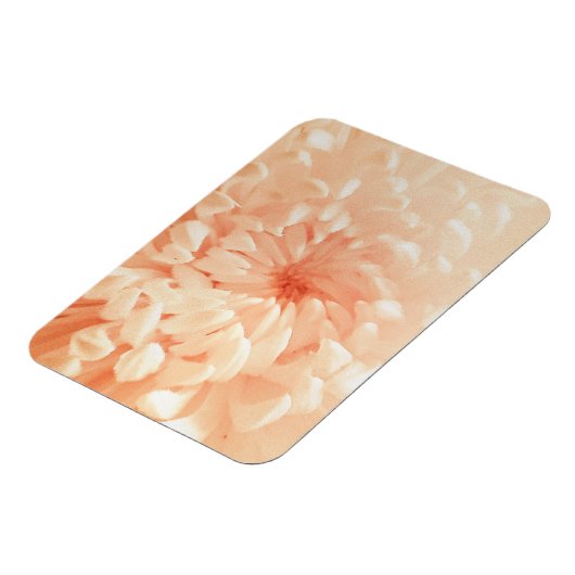 koraalchrysant magneet (Linkerzijde)