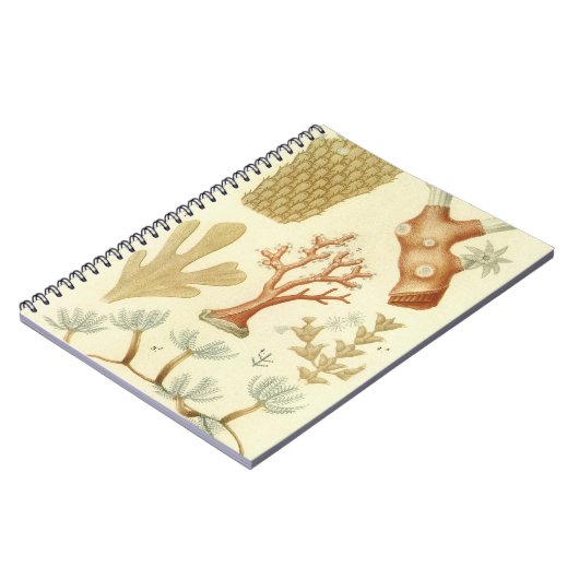  koraaldieren, Wetenschapsboek Biologie Notitieboek (Linkerzijde)