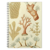  koraaldieren, Wetenschapsboek Biologie Notitieboek (Voorkant)