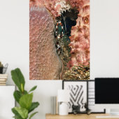 Koraalgarnaal in de sponge poster (Thuiskantoor)