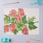 Koraalmaaipapier voor bloemkool tissuepapier (Craft)