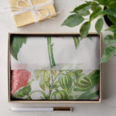 Koraalmaaipapier voor bloemkool tissuepapier (Geschenk)