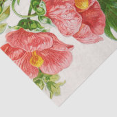 Koraalmaaipapier voor bloemkool tissuepapier (Detail)
