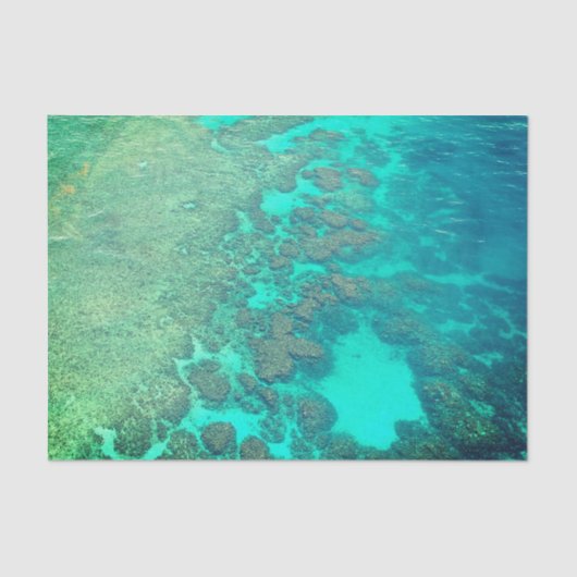 Koraalriefpapier Tissuepapier (Voorkant)