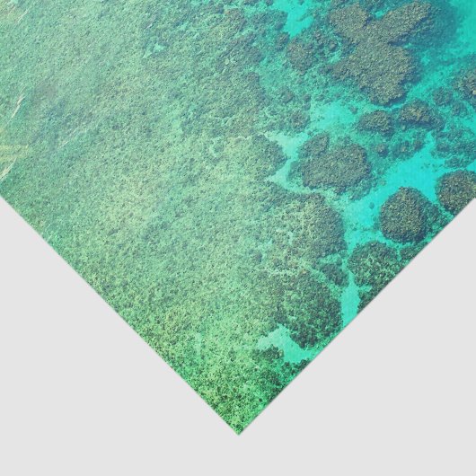 Koraalriefpapier Tissuepapier (Detail)