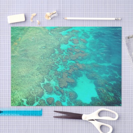 Koraalriefpapier Tissuepapier (Craft)