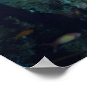 Koraalrif | Bigeye of Goggle-Oog Poster (Hoek)