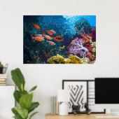 Koraalrif | Bigeye of Goggle-Oog Poster (Thuiskantoor)