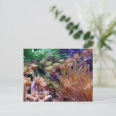 koraalrif briefkaart (Staand voorkant)
