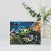 koraalrif-briefkaart briefkaart (Staand voorkant)