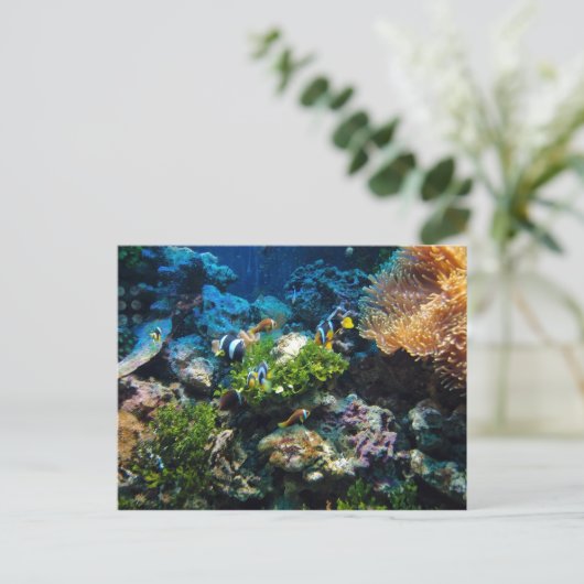 koraalrif-briefkaart briefkaart (Staand voorkant)