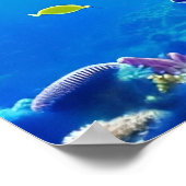 Koraalrif - Canvas Art Print (Hoek)