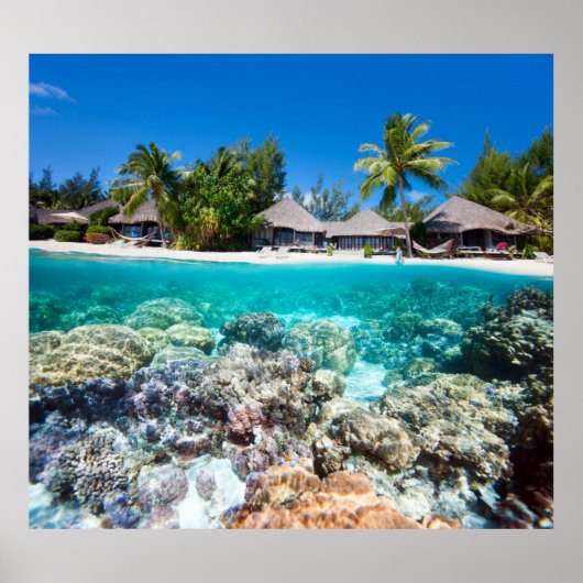 Koraalrif en een tropisch resort poster (Voorkant)