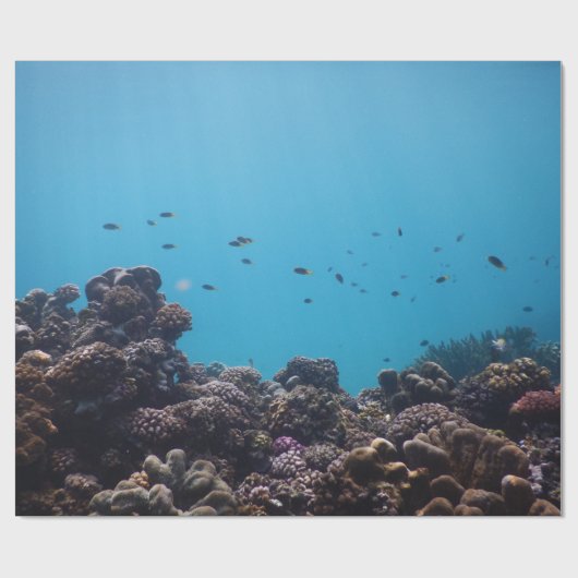 Koraalrif en tropische vis in de Stille Oceaan Cadeaupapier (Vlak)