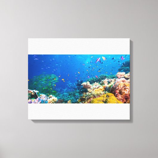 Koraalrif en tropische vissen canvas afdruk (Voorkant)