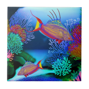 Koraalrif Flasher Wrasse Fish Tile Tegeltje