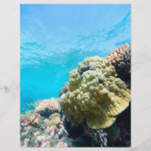 Koraalrif Flyer (Voorkant)