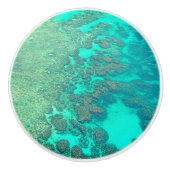 Koraalrif keramische knop (Voorkant)