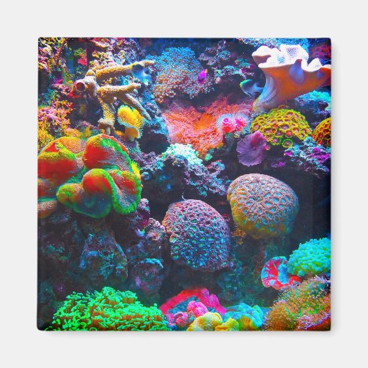 Koraalrif kleurige oceaanmagneet magneet (Voorkant)