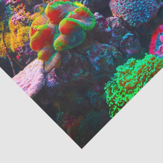 Koraalrif, kleurrijk zeeweefselpapier tissuepapier (Detail)