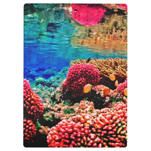 Koraalrif kleurrijke oceaan onder water klembord (Achterkant)