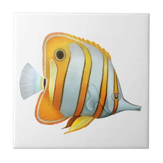 Koraalrif koperband Butterfly Fish Tile Tegeltje (Voorkant)