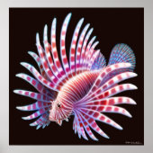 Koraalrif Lionfish Poster (Voorkant)
