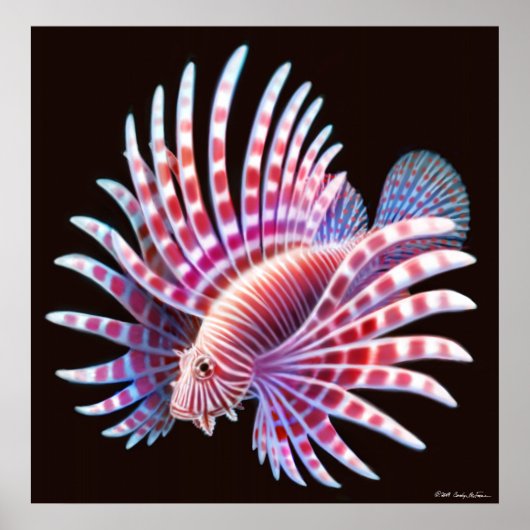 Koraalrif Lionfish Poster (Voorkant)