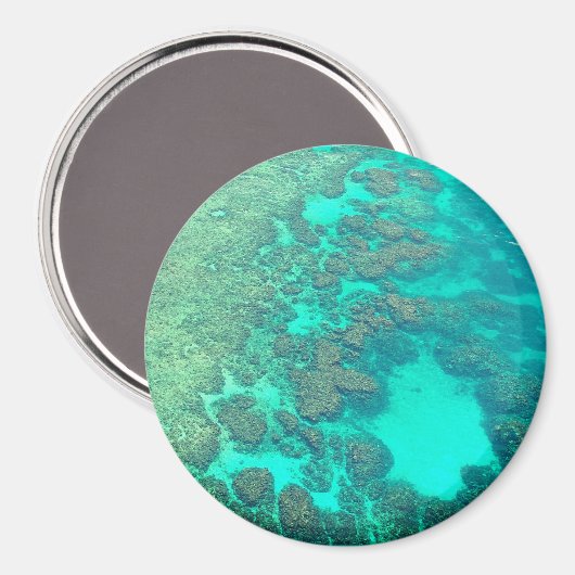 Koraalrif magnet (Voorkant / Achterkant)