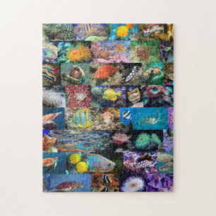 Koraalrif mariene fotocollage, 8-jarige leeftijd, legpuzzel
