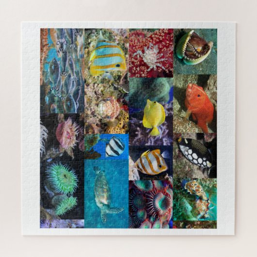 Koraalrif mariene life collage, leeftijd 10, 676 s legpuzzel (Horizontaal)