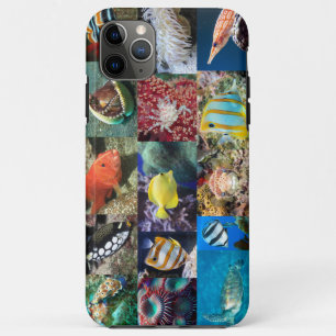 Koraalrif Mariene Vis Dieren Foto's, Educatief Case-Mate iPhone Case