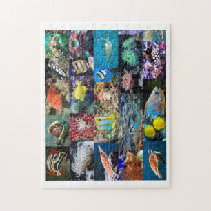 Koraalrif mariene visdieren, leeftijd 8, 252 stuks legpuzzel