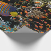Koraalrif met brandkoraal en exotische visserij cadeaupapier (Hoek)
