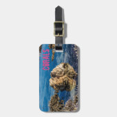 Koraalrif met laag getij als mauritius-cadeau bagagelabel (Voorkant verticaal)