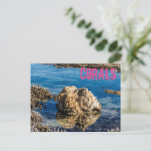 Koraalrif met laag getij als mauritius-cadeau