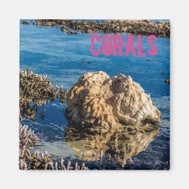 Koraalrif met laag getij als mauritius-cadeau magneet