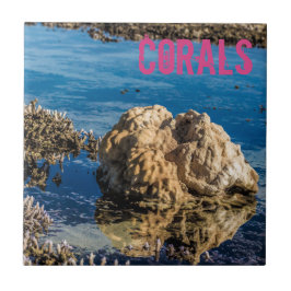 Koraalrif met laag getij als mauritius-cadeau tegeltje