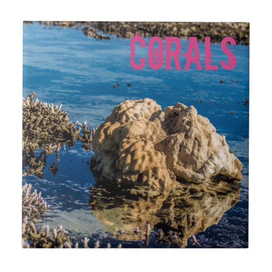 Koraalrif met laag getij als mauritius-cadeau tegeltje (Voorkant)