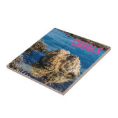 Koraalrif met laag getij als mauritius-cadeau tegeltje (Zijkant)