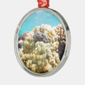 Koraalrif Metalen Ornament (Links)