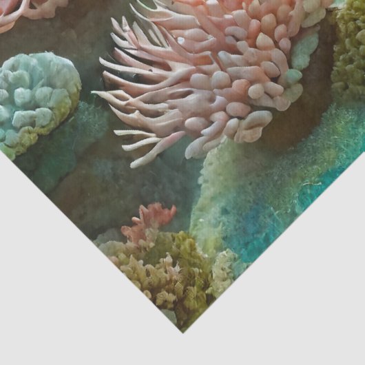 Koraalrif middag, ontwerp 3 tissuepapier (Detail)