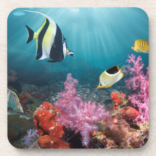 Koraalrif   Moorish Idol Bier Onderzetter