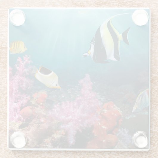 Koraalrif | Moorish Idol Glazen Onderzetter (Achterkant)