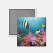 Koraalrif | Moorish Idol Magneet (Voorkant / Achterkant)