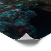 Koraalrif | Moorish Idol Poster (Hoek)