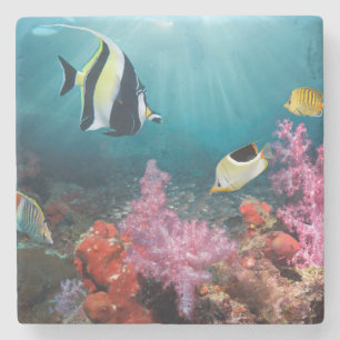 Koraalrif Moorish Idol Stenen Onderzetter