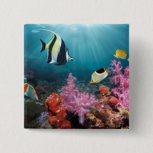 Koraalrif   Moorish Idol Vierkante Button 5,1 Cm