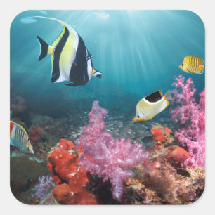 Koraalrif   Moorish Idol Vierkante Sticker