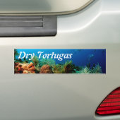Koraalrif, Nationaal Park Dry Tortugas, Florida Bumpersticker (Op auto)